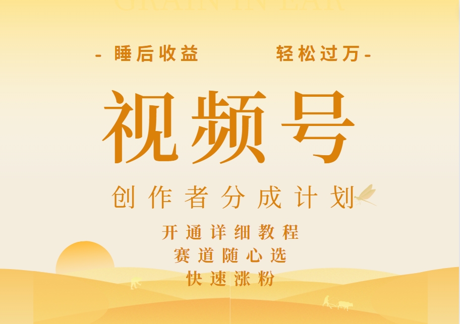 详解视频号创作者分成计划，暴力起号，可同步多平台，实现睡后收入2W+，看懂即可操作！-欧乐副业网