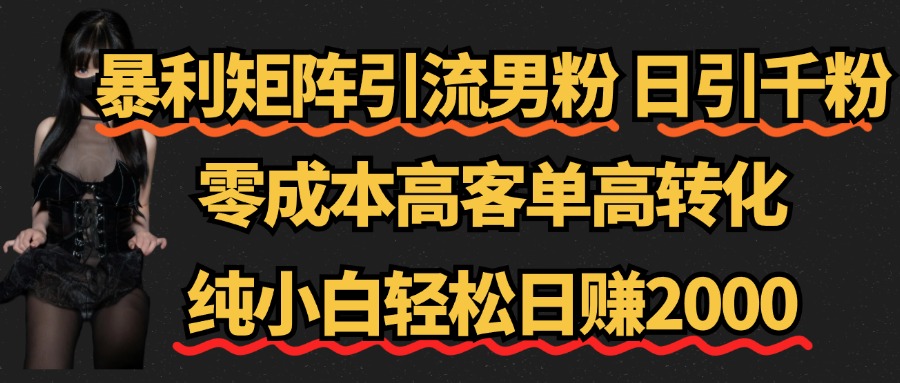 暴利矩阵引流男粉（日引千粉），零成本高客单高转化，纯小白轻松日赚2000+-欧乐副业网