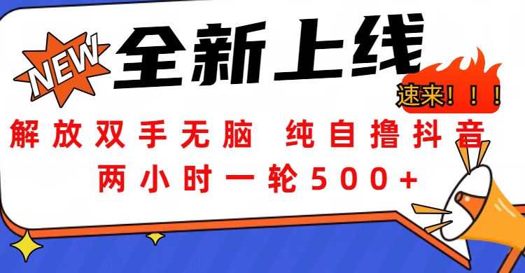 解放双手无脑 纯自撸抖音 两小时一轮500+-欧乐副业网