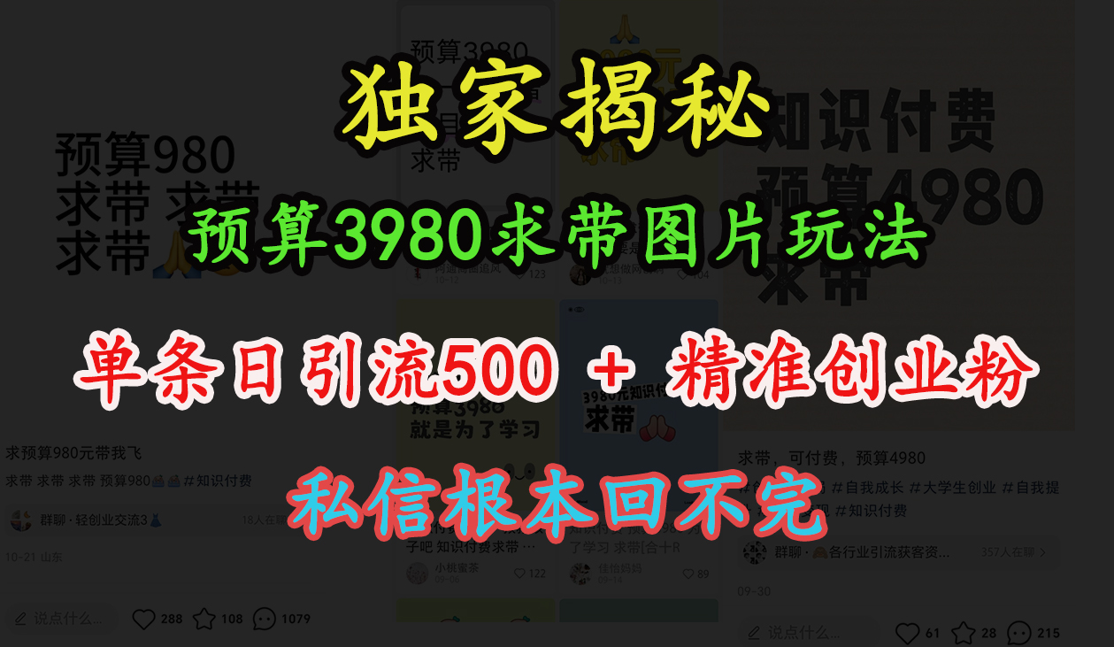 “小红书”预算3980求带 图片玩法，单条日引流500+精准创业粉，私信根本回不完-欧乐副业网