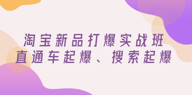 【副业项目3372期】淘宝新品打爆实战班（淘宝店铺如何增加流量和访客）-欧乐副业网