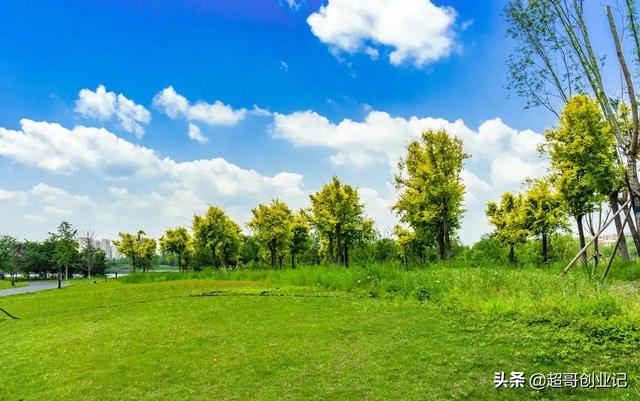 自媒体公司老板分享做自媒体的秘籍（做自媒体怎么月收入过万）-欧乐副业网