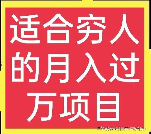 适合农村人做的赚钱项目（在农村做什么项目好）-欧乐副业网