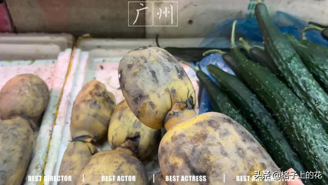 做菜市场生意有什么技巧(菜市场卖菜生意不好有什么办法)插图4 做菜市场生意有什么技巧(菜市场卖菜生意不好有什么办法)插图4