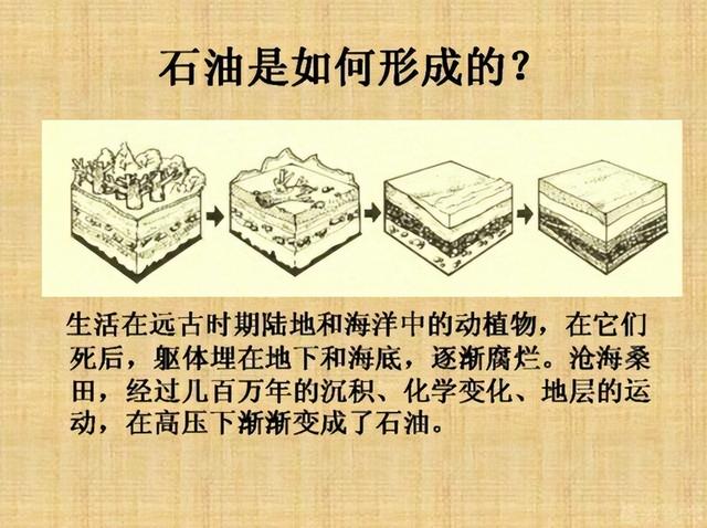 沙特到底多有钱插图13 沙特到底多有钱插图13