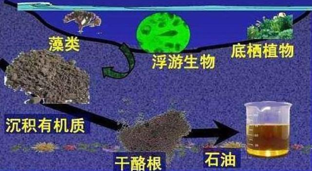 沙特到底多有钱插图14 沙特到底多有钱插图14