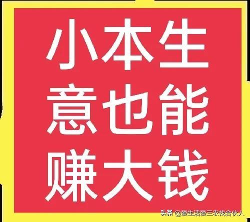 2022年投资小利润高的小生意，失业后做什么小本生意好-欧乐副业网
