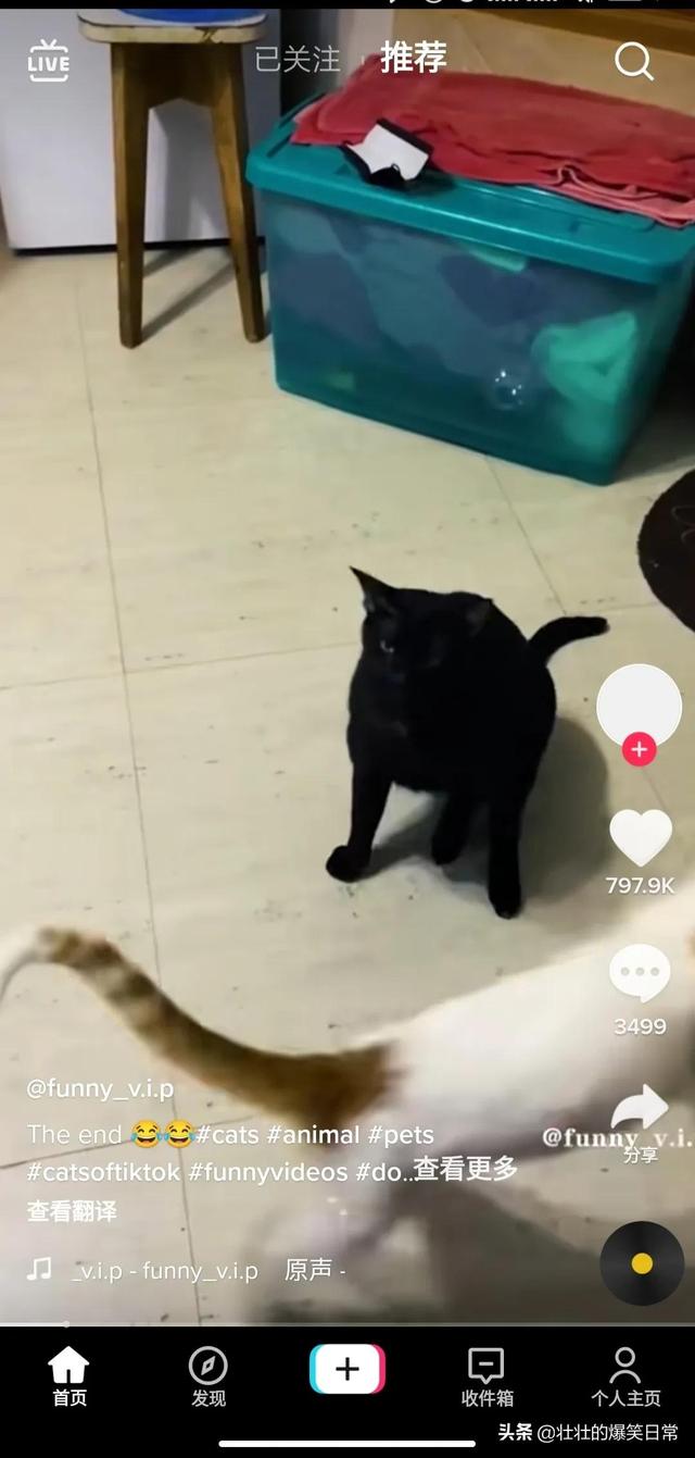 如何使用海外版抖音（国内怎样使用tiktok）-欧乐副业网