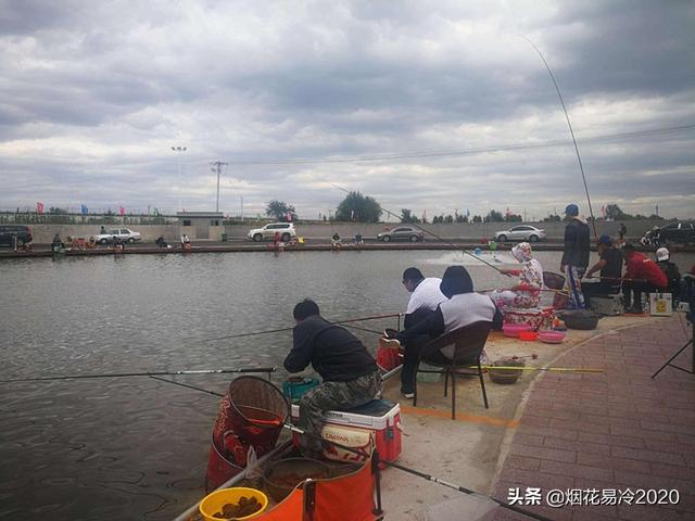 比较赚钱的生态农业项目有哪些插图1 比较赚钱的生态农业项目有哪些插图1