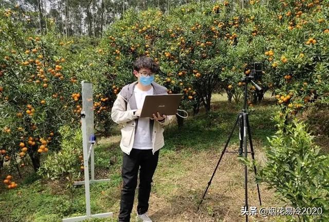 比较赚钱的生态农业项目有哪些插图 比较赚钱的生态农业项目有哪些插图