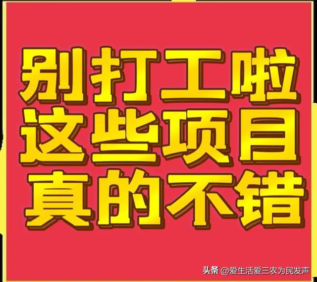 比打工强的小生意,农村小项目有哪些插图 比打工强的小生意,农村小项目有哪些插图