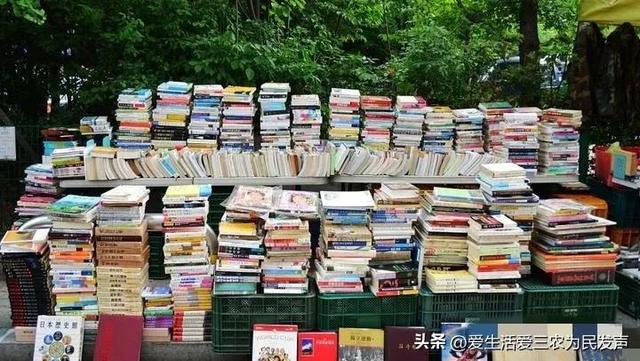 比打工强的小生意,农村小项目有哪些插图4 比打工强的小生意,农村小项目有哪些插图4