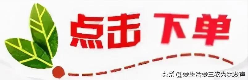 比打工强的小生意,农村小项目有哪些插图9 比打工强的小生意,农村小项目有哪些插图9