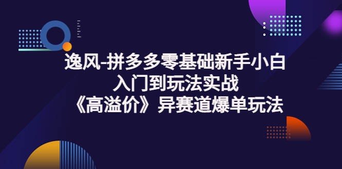 【副业项目3877期】逸风-拼多多新手小白入门到玩法实战，异赛道爆单玩法实操课-欧乐副业网