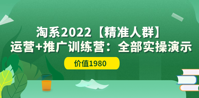 【副业项目3941期】淘系2022【精准人群】运营+推广训练营：全部实操演示-欧乐副业网