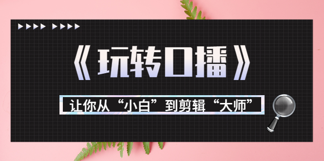 【副业项目3987期】月营业额700万+大佬教您《玩转口播》让你从“小白”到剪辑“大师”-欧乐副业网