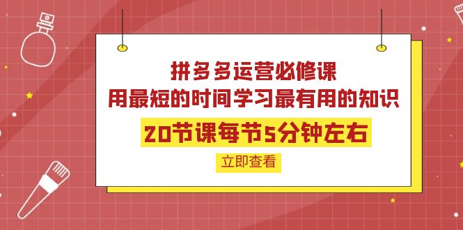 【副业项目4189期】拼多多运营必修课：20节课每节5分钟左右，用最短的时间学习最有用的知识-欧乐副业网