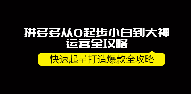 【副业项目4227期】拼多多从0起步小白到大神运营全攻略，快速起量打造10W+爆款全攻略-欧乐副业网