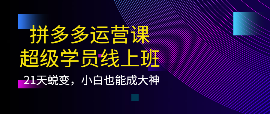 【副业项目4260期】拼多多运营课：超级学员线上班，21天蜕变，小白也能成大神-欧乐副业网
