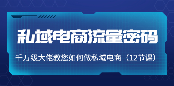 【副业项目4297期】私域电商流量密码：千万级大佬教您如何做私域电商（12节课）-欧乐副业网