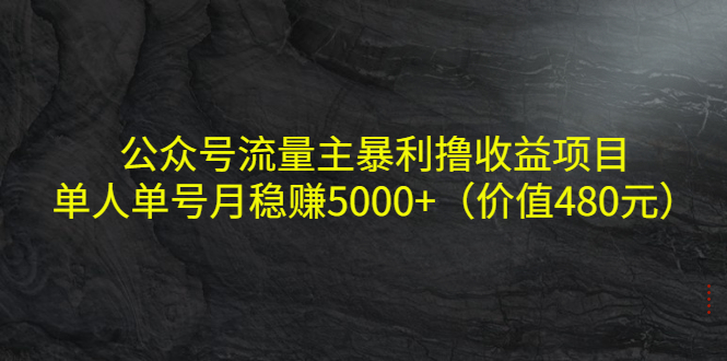【副业项目4325期】公众号流量主暴利撸收益项目，单人单号月稳赚5000+（价值480元-欧乐副业网
