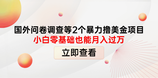 【副业项目4372期】国外问卷调查等2个暴力撸美金项目，小白零基础也能月入过万-欧乐副业网