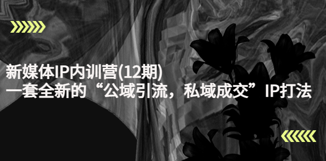【副业项目4405期】新媒体IP内训营(12期)：一套全新的“公域引流，私域成交”IP打法，直接带走-欧乐副业网