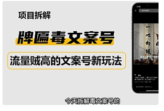 【副业项目4912期】2023抖音快手毒文案新玩法，牌匾文案号，起号快易变现-欧乐副业网