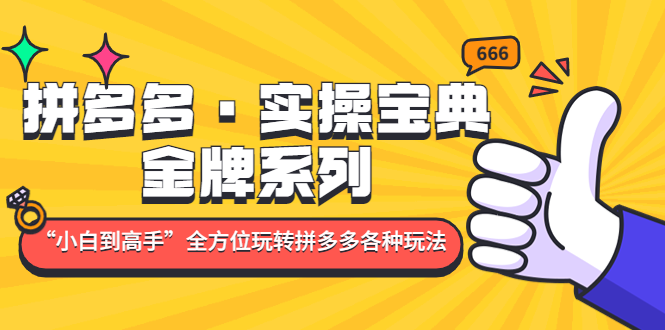 【副业项目5130期】拼多多·实操宝典：金牌系列“小白到高手”带你全方位玩转拼多多各种玩法-欧乐副业网