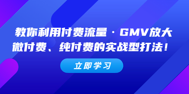 【副业项目5265期】教你利用付费流量·GMV放大，微付费、纯付费的实战型打法-欧乐副业网