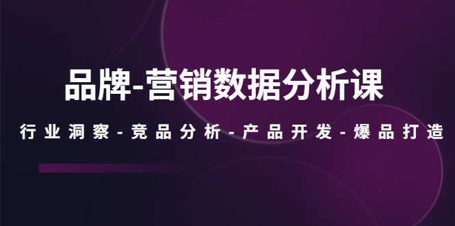 【副业项目5644期】品牌-营销数据分析课，行业洞察-竞品分析-产品开发-爆品打造-欧乐副业网