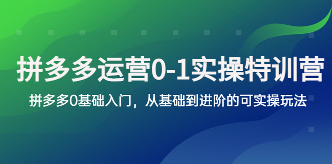 【副业项目5801期】拼多多-运营0-1实操训练营，拼多多0基础入门，从基础到进阶的可实操玩法-欧乐副业网