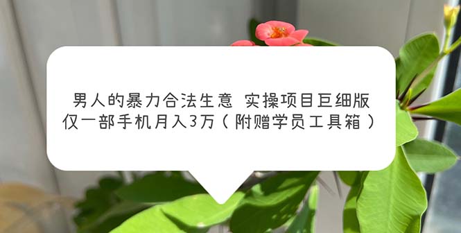 【副业项目5982期】男人的暴力合法生意实操项目巨细版：仅一部手机月入3w（附赠学员工具箱）-欧乐副业网