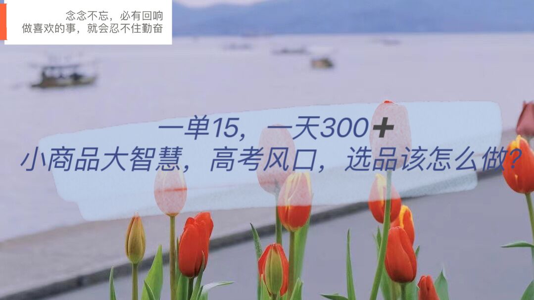 【副业项目6119期】一单15，一天300+，小商品大智慧，高考风口，选品该怎么布局-欧乐副业网