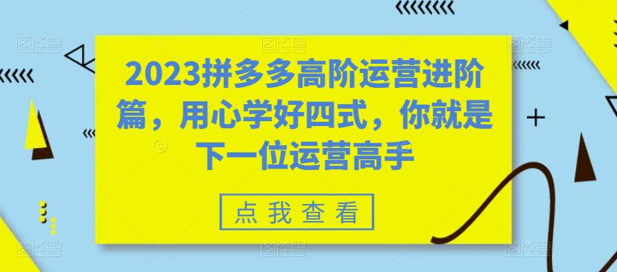 【副业项目6241期】2023拼多多高阶运营进阶篇，用心学好四式，你就是下一位运营高手-欧乐副业网