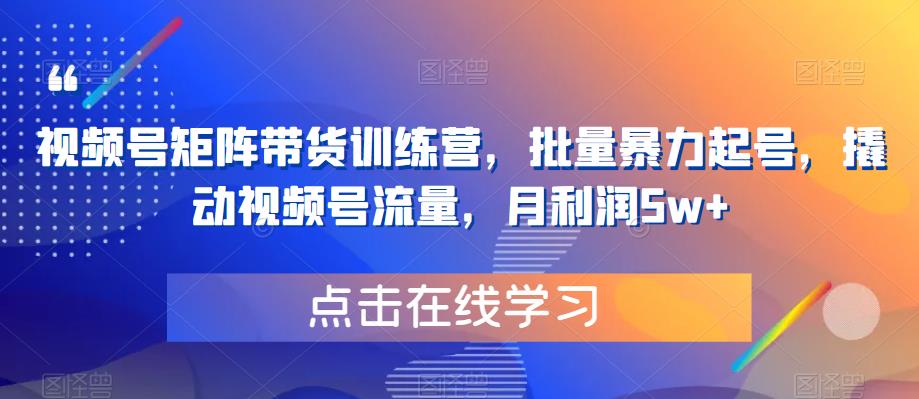 【副业项目6254期】视频号矩阵带货训练营，批量暴力起号，撬动视频号流量，月利润5w+-欧乐副业网