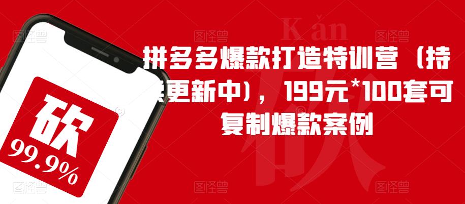 【副业项目6391期】拼多多爆款打造特训营（持续更新中)，199元*100套可复制爆款案例-欧乐副业网