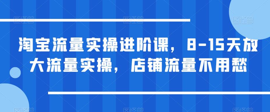 【副业项目6415期】淘宝流量实操进阶课，8-15天放大流量实操，店铺流量不用愁-欧乐副业网