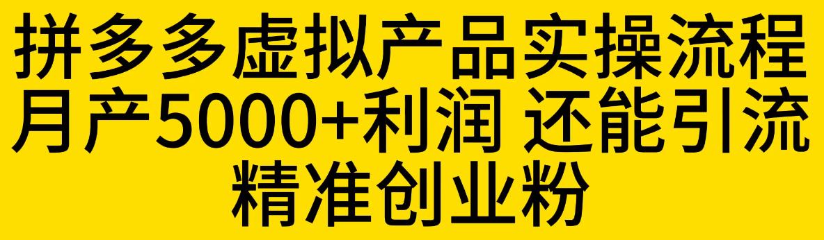 【副业项目6569期】拼多多虚拟产品实操流程，月产5000+利润，还能引流精准创业粉-欧乐副业网