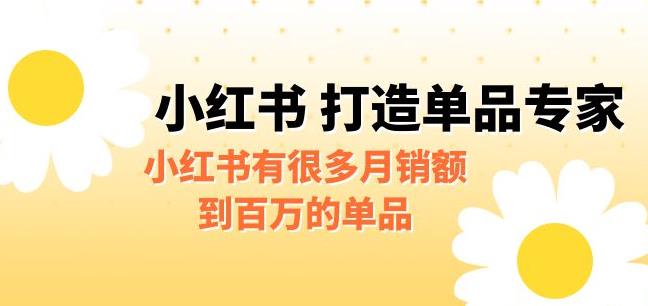 【副业项目6703期】某公众号付费文章《小红书打造单品专家》小红书有很多月销额到百万的单品-欧乐副业网
