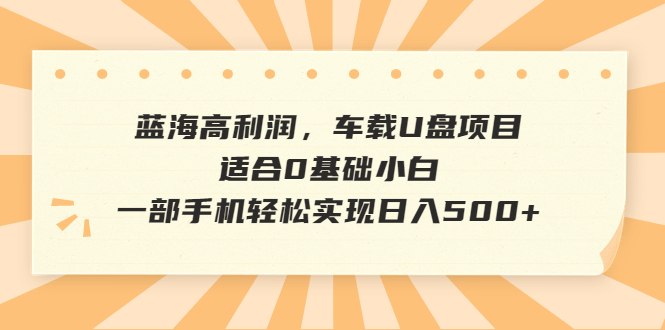 【副业项目6800期】蓝海高利润，车载U盘项目，适合0基础小白，一部手机轻松实现日入500+-欧乐副业网