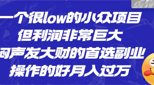 【副业项目6782期】一个很low的小众项目，但利润非常巨大，闷声发大财的首选副业，月入过万-欧乐副业网