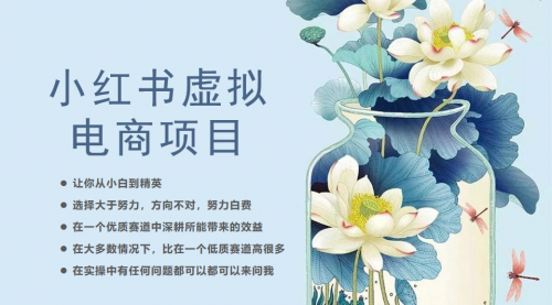 【副业项目6786期】小红书虚拟电商从0到1，让你从小白到精英（20节实操课程）-欧乐副业网