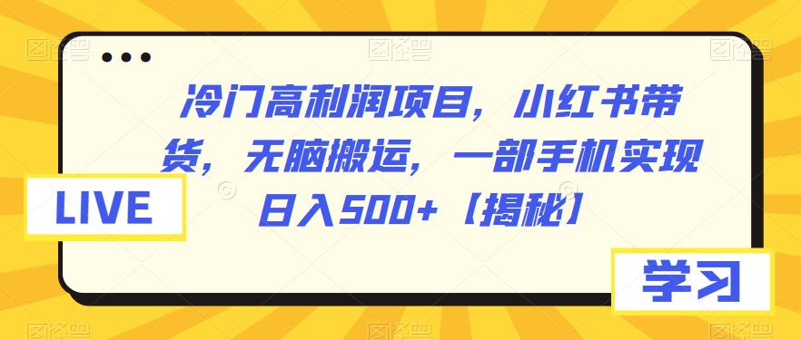 【副业项目6875期】冷门高利润项目，小红书带货，无脑搬运，一部手机实现日入500+【揭秘】-欧乐副业网