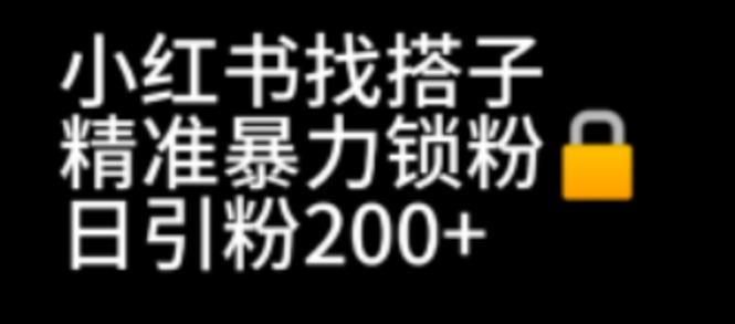 【副业项目7040期】小红书找搭子暴力精准锁粉+引流日引200+精准粉-欧乐副业网