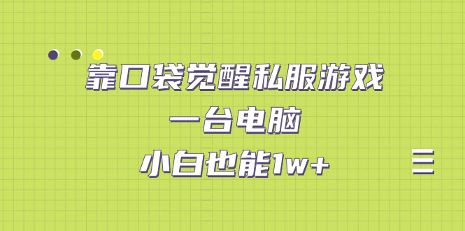 【副业项目7248期】靠口袋觉醒私服游戏，一台电脑，小白也能1w+（教程+工具+资料）-欧乐副业网