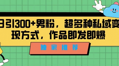 【副业项目7191期】独家推荐！日引300+男粉，超多种私域变现方式-欧乐副业网