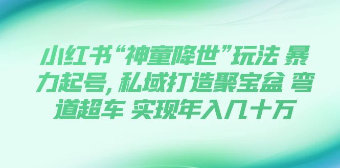 【副业项目7983期】小红书“神童降世”玩法 暴力起号,私域打造聚宝盆-欧乐副业网