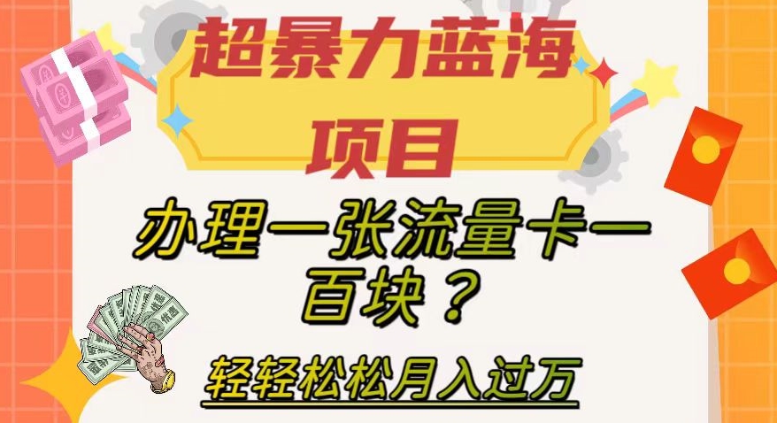 【副业项目8024期】超暴力蓝海项目，办理一张流量卡一百块？轻轻松松月入过万，保姆级教程【揭秘】-欧乐副业网