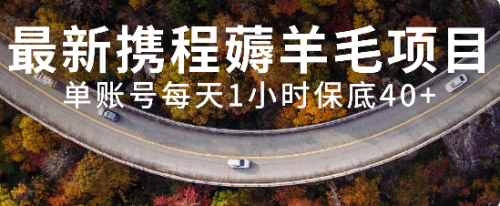 【副业项目8232期】最新携程薅羊毛项目，单账号每天1小时保底收益40+，可矩阵操作-欧乐副业网